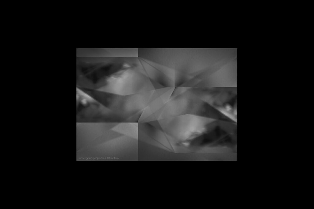 Emergent Properties - digital media - Tiina Liimu